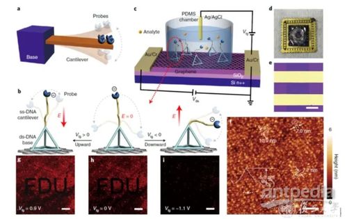 4分鐘內(nèi)出核酸結(jié)果 復(fù)旦大學(xué)如何實現(xiàn)精準(zhǔn)生物檢測