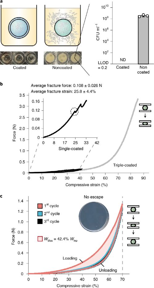 麻省理工學(xué)院趙選賀Nature子刊 基于細(xì)菌的水凝膠生物容器,可進(jìn)行連續(xù)感測和計算