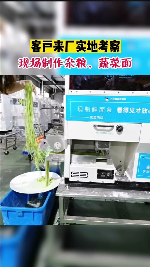 客戶來(lái)廠考察,現(xiàn)場(chǎng)試機(jī)菠菜面,替代人工做面,8秒做成鮮面條